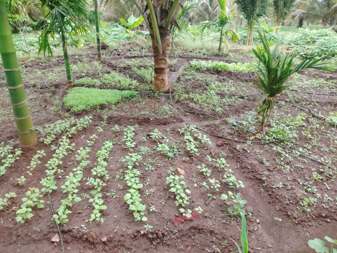 Event Image 1